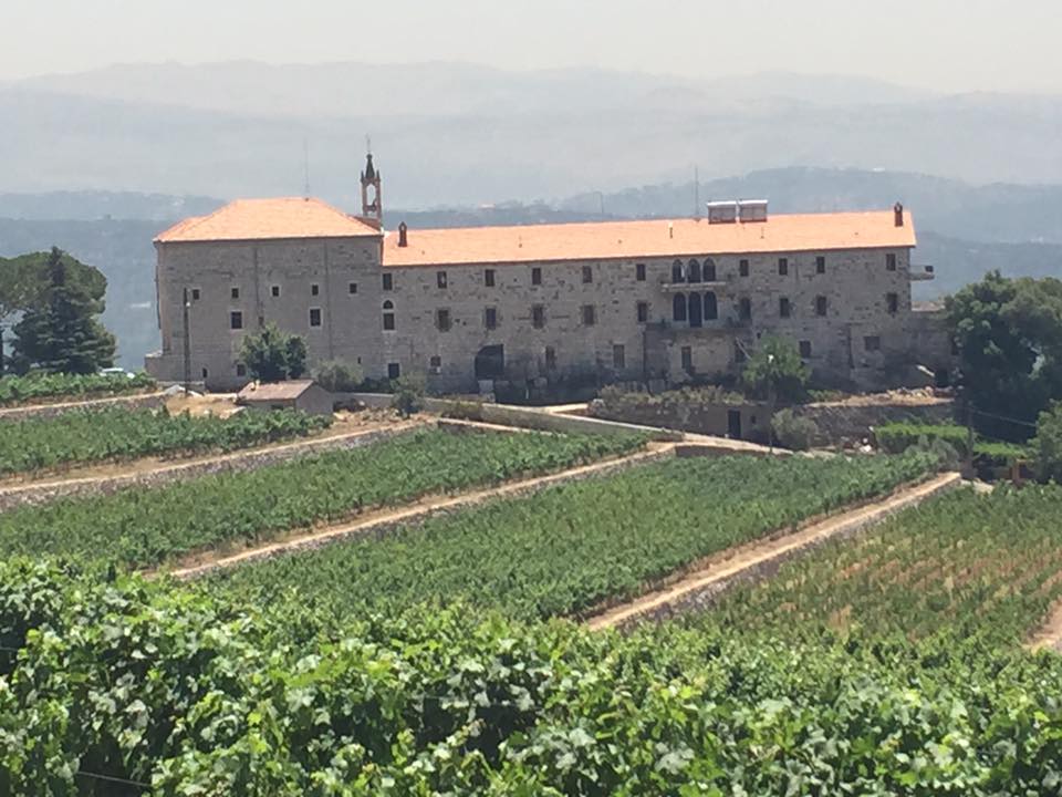 adyar-vineyard-4